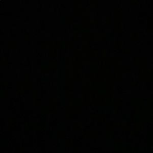 Meet your Posher, Marsha